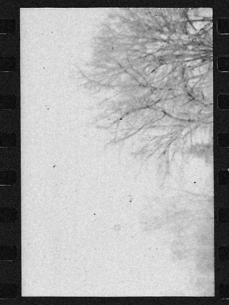 Black and white film still of a woman at a fog-covered river at dusk